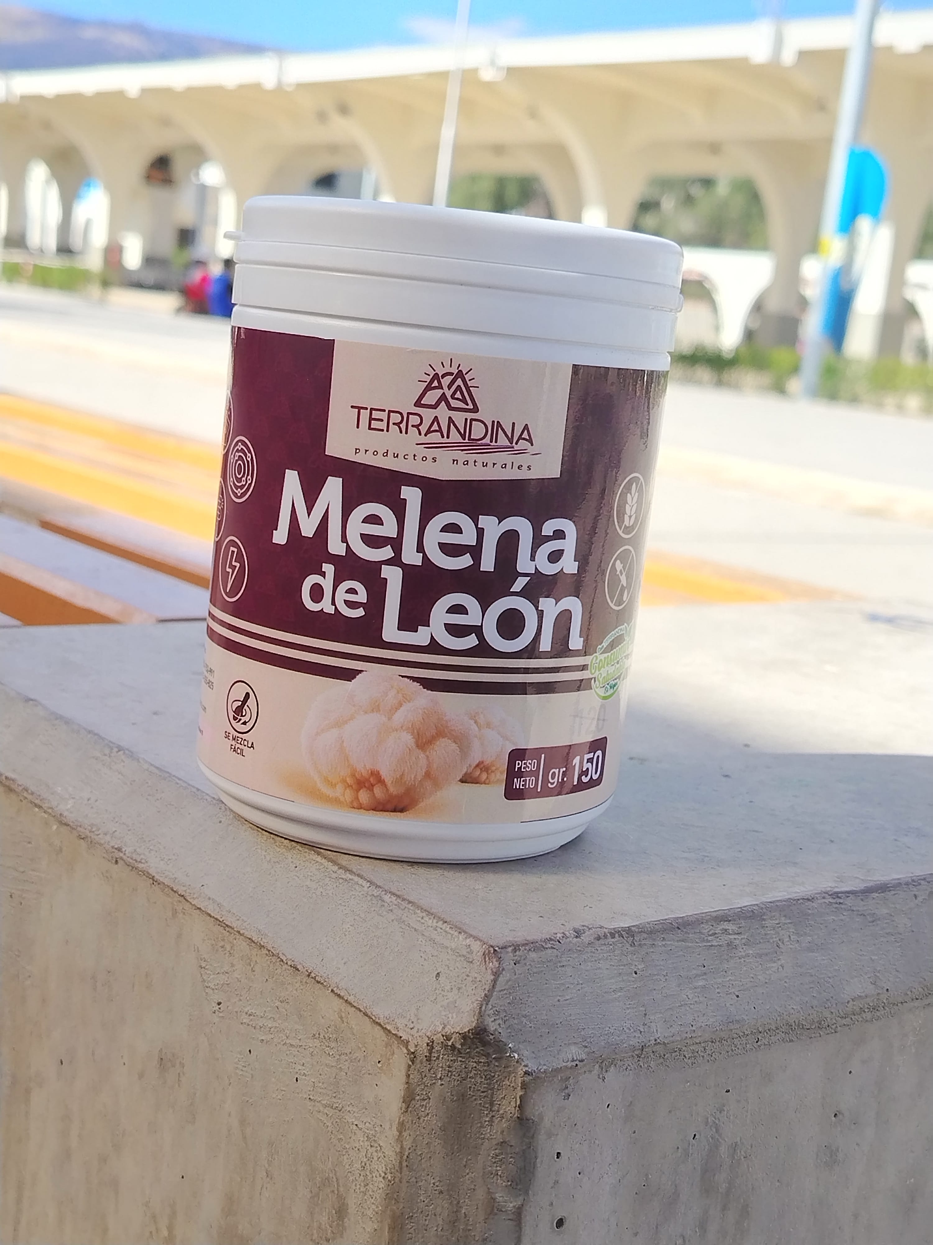 Melena de León